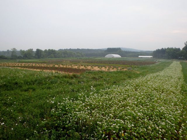 p7050044-640x480